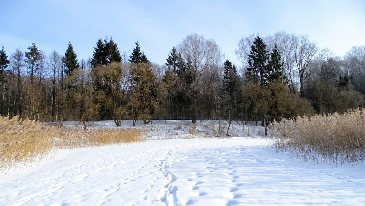 Зима в феврале - Милешкин Владимир Алексеевич 