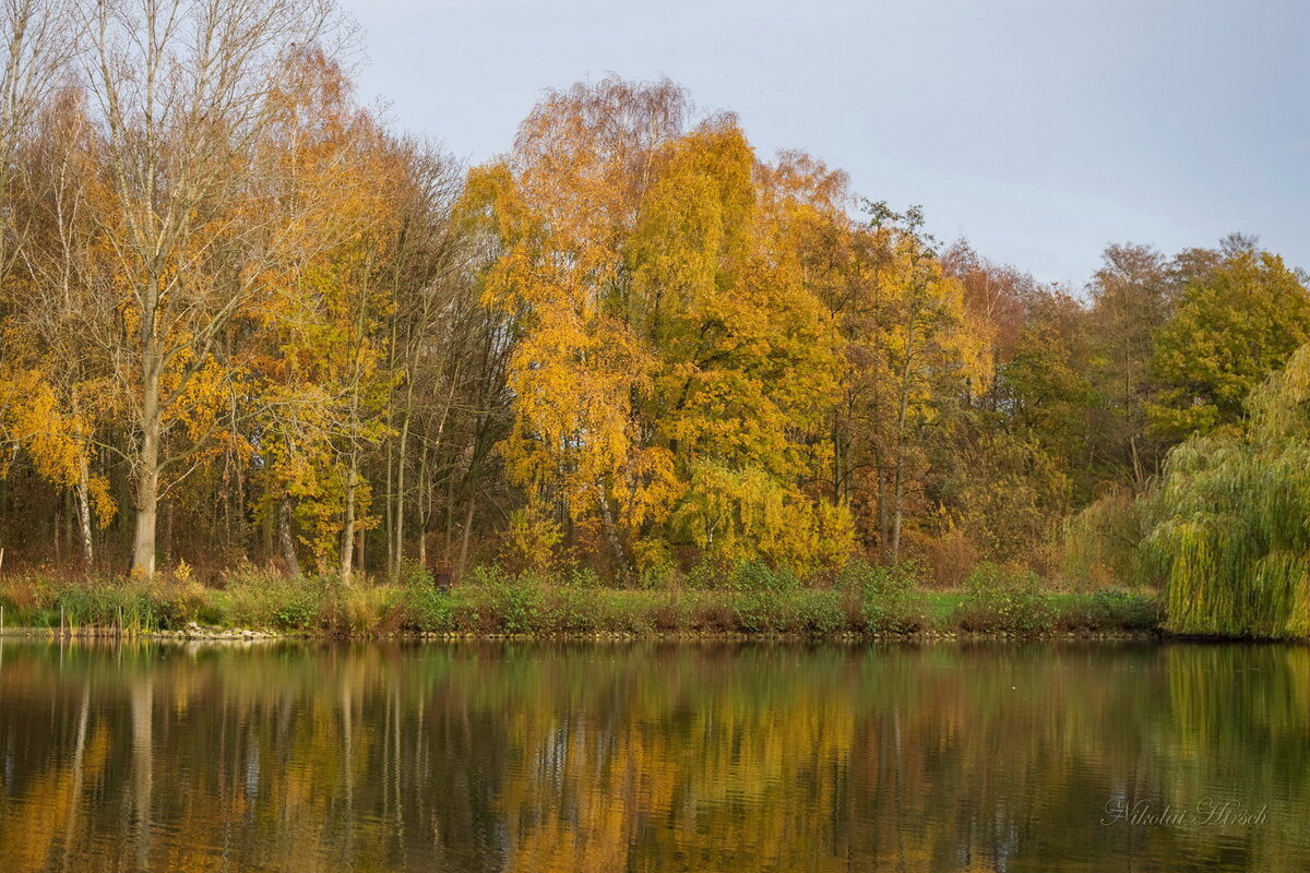 Краски осени... - Николай Гирш