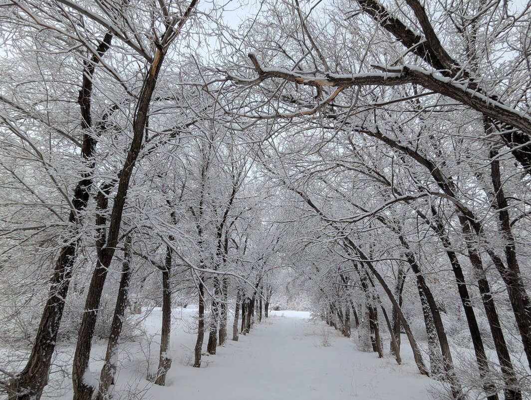 Мороз - Андрей Хлопонин