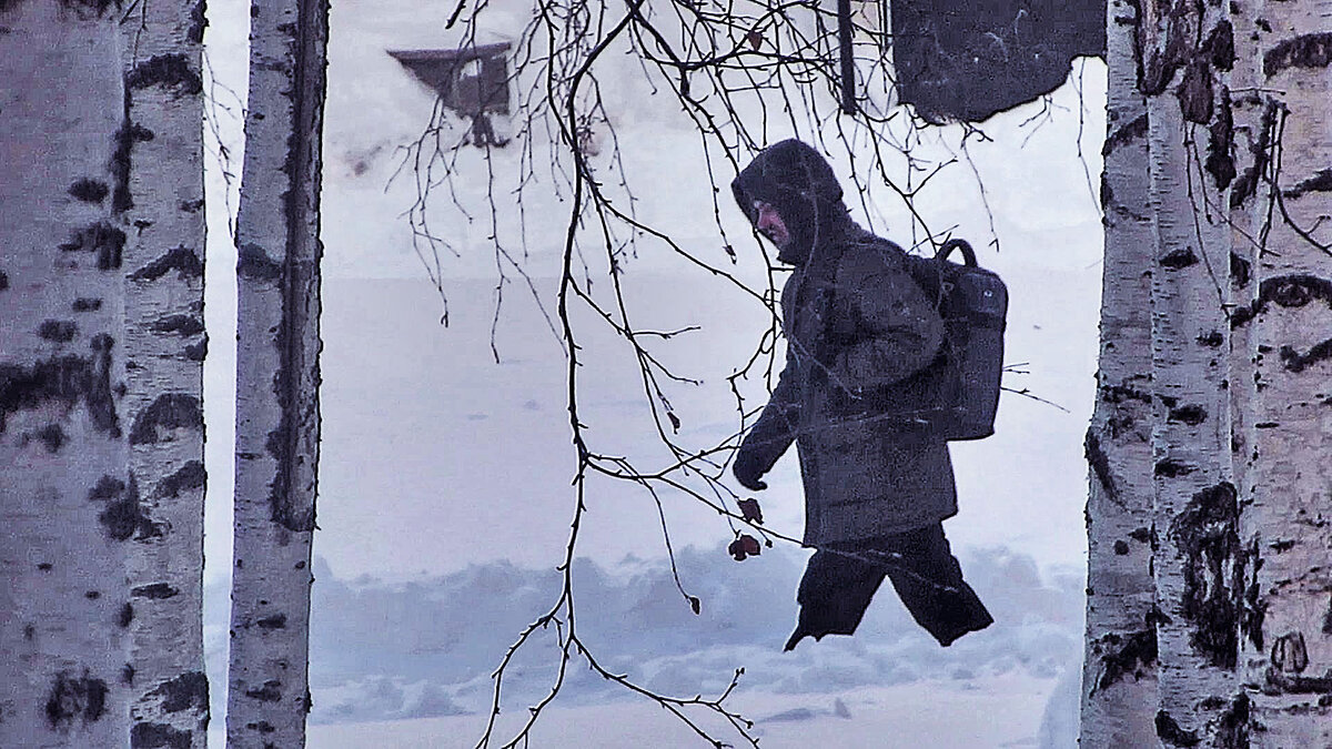 Февраль...Мороз и снег! - Владимир 