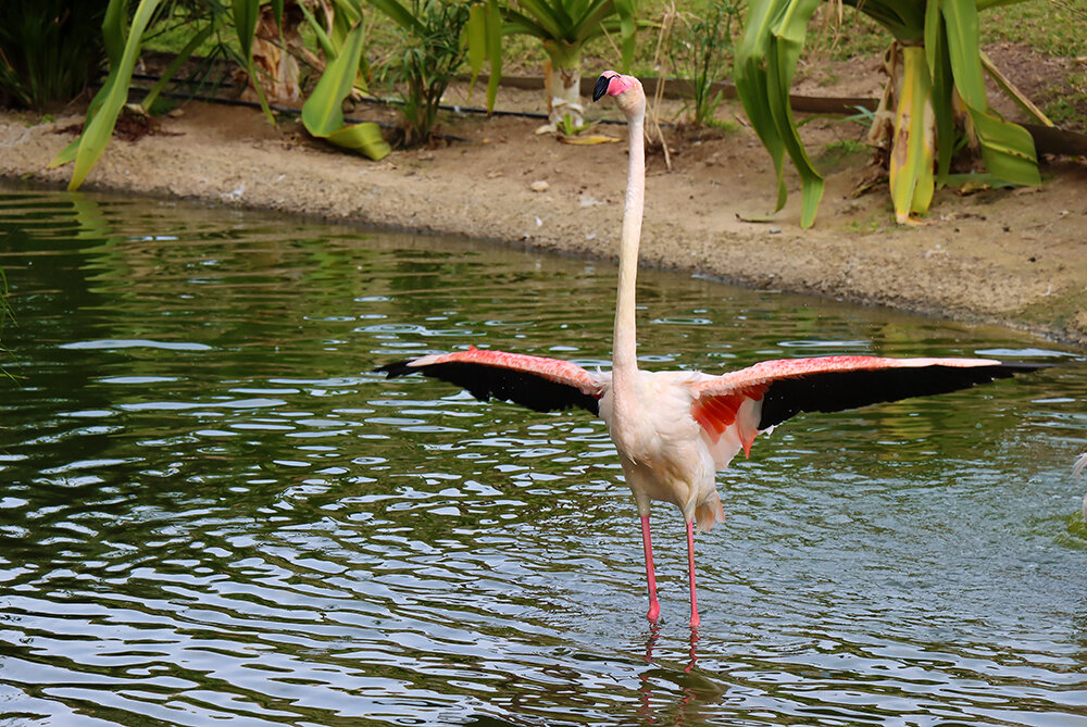 Подходите, обниматься будем... - Галина Ильясова