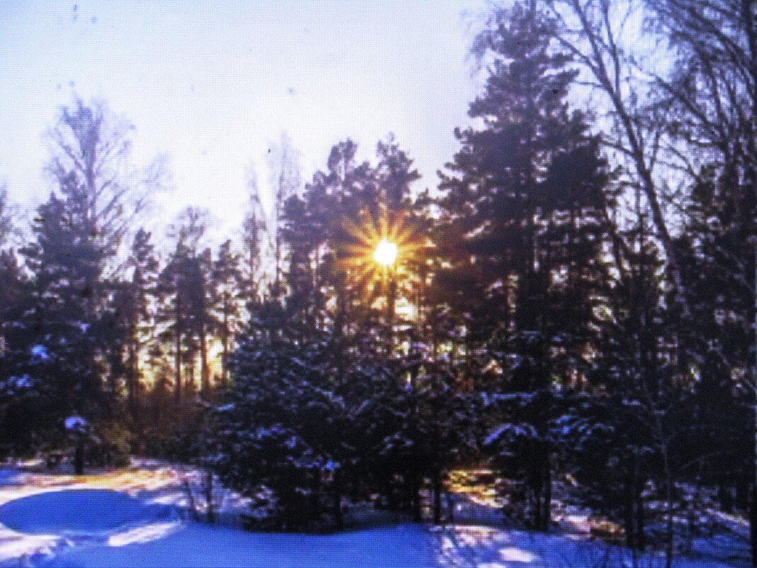 В солнечный день - Людмила Смородинская