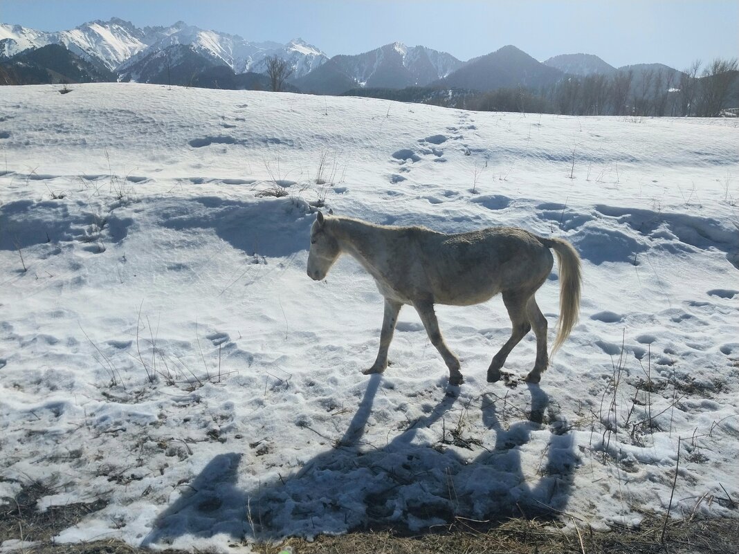 Талгар. - Murat Bukaev 