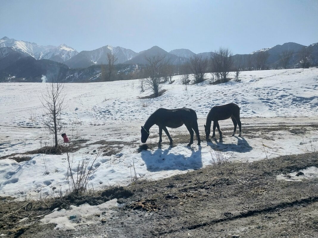 Ак Булак.  Талгар. - Murat Bukaev 