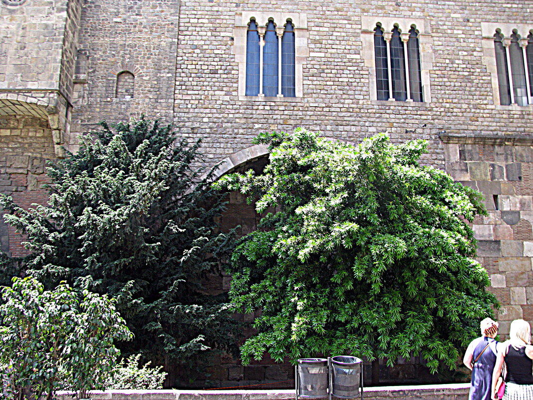 Барселона. - Владимир Драгунский