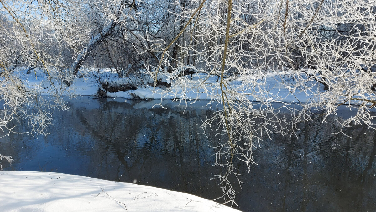 *** - Владимир Безбородов *** - Владимир Безбородов