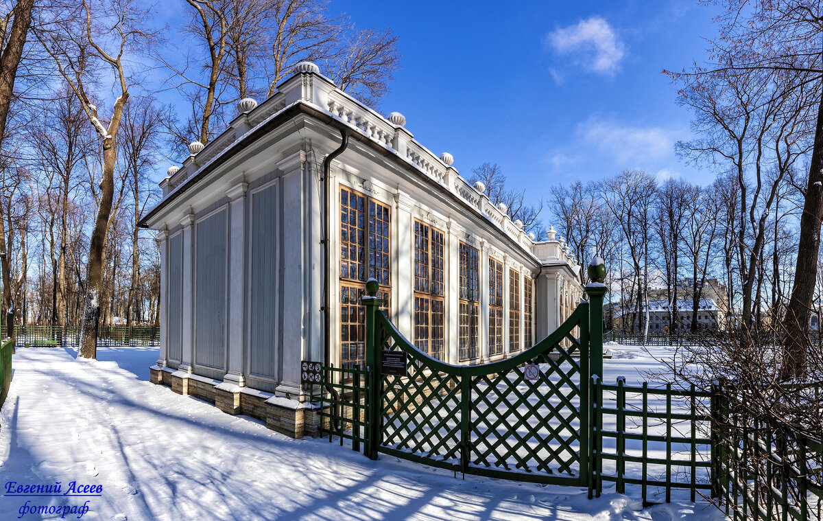 Зимнее утро в Летнем саду - Евгений 