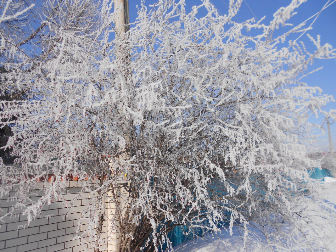 март - Елена Шаламова