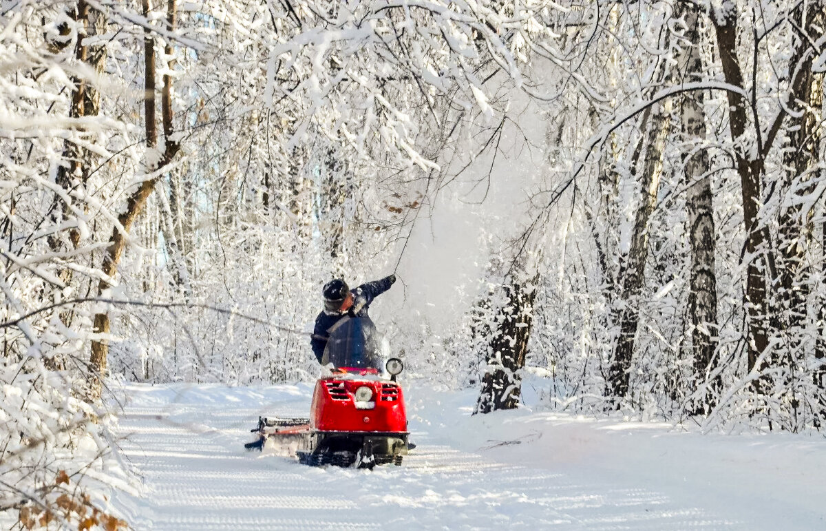 Зимняя сказка в Роще Декабристов. Ялуторовск. - Михаил Курзанцев
