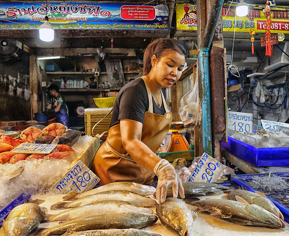 *** - Алексей Карташев