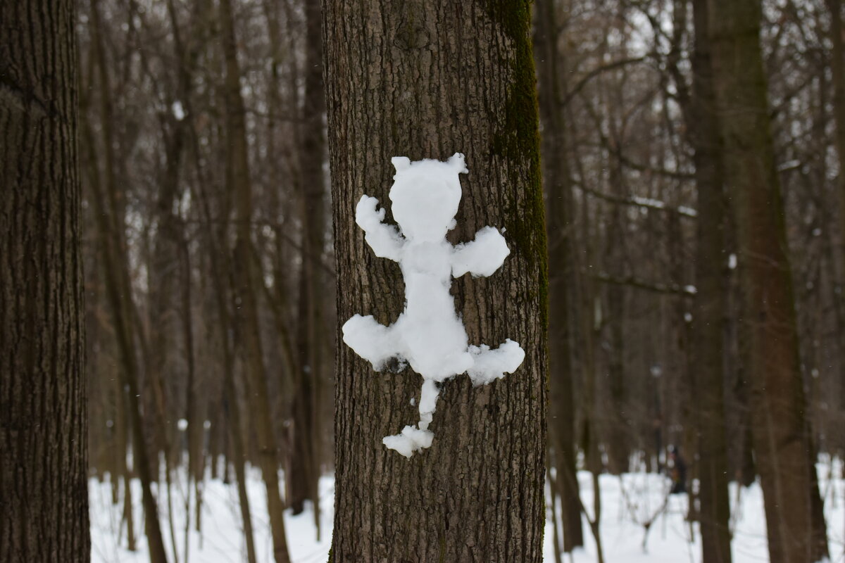 Не в писался. Очень густой лес. - Наталья Вязигина