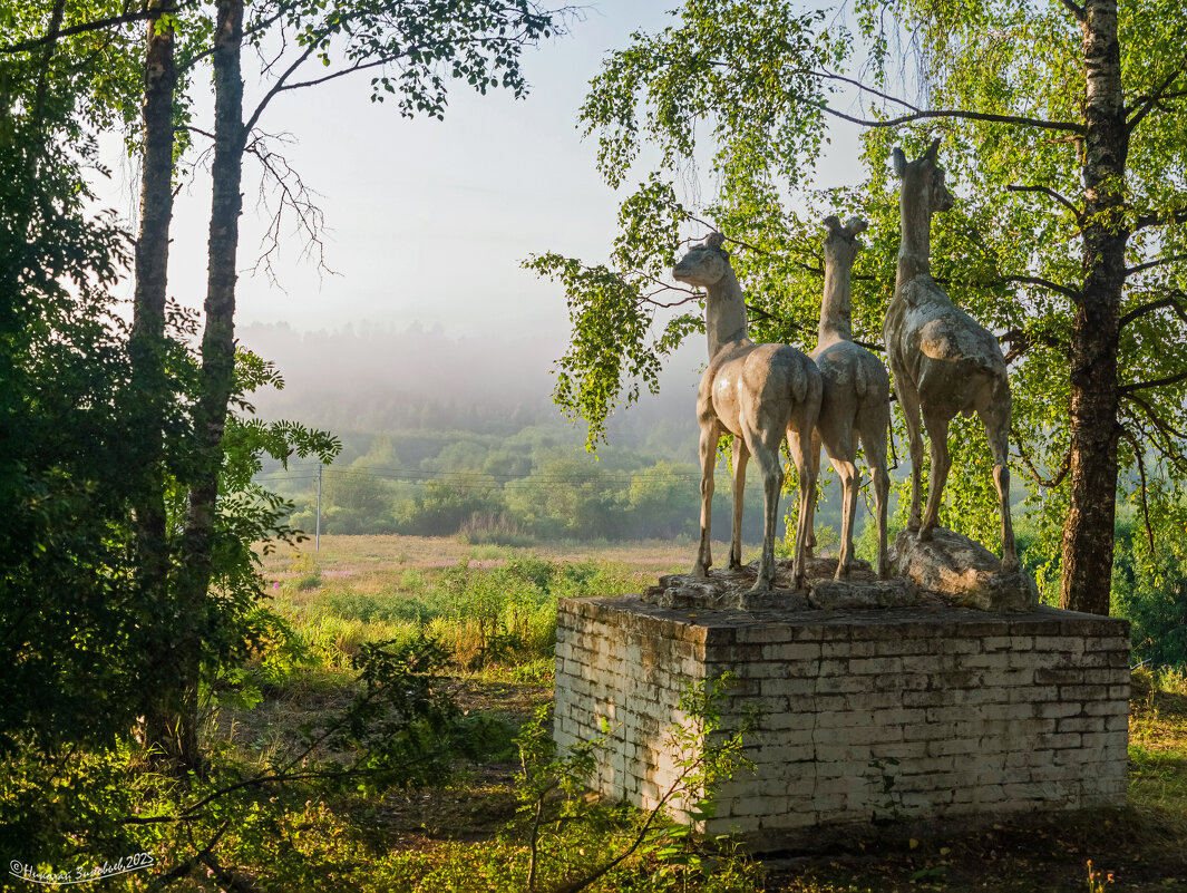 Лани наблюдают за утренним туманом, плавно стелющимся вдоль реки Ухта. - Николай Зиновьев Лани наблюдают за утренним туманом, плавно стелющимся вдоль реки Ухта. - Николай Зиновьев