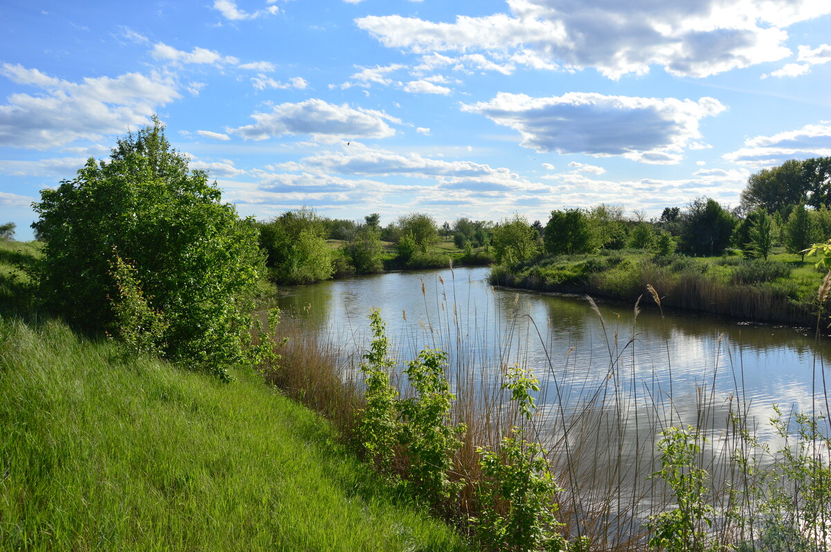 У реки. - Виктор 