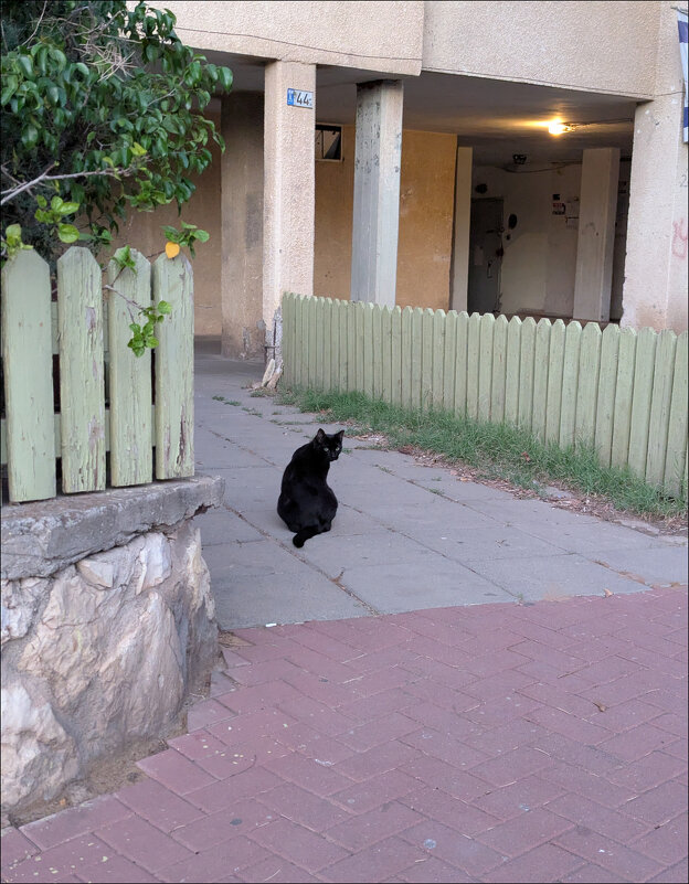 "Жил да был черный кот за углом..." - Валерий Готлиб "Жил да был черный кот за углом..." - Валерий Готлиб