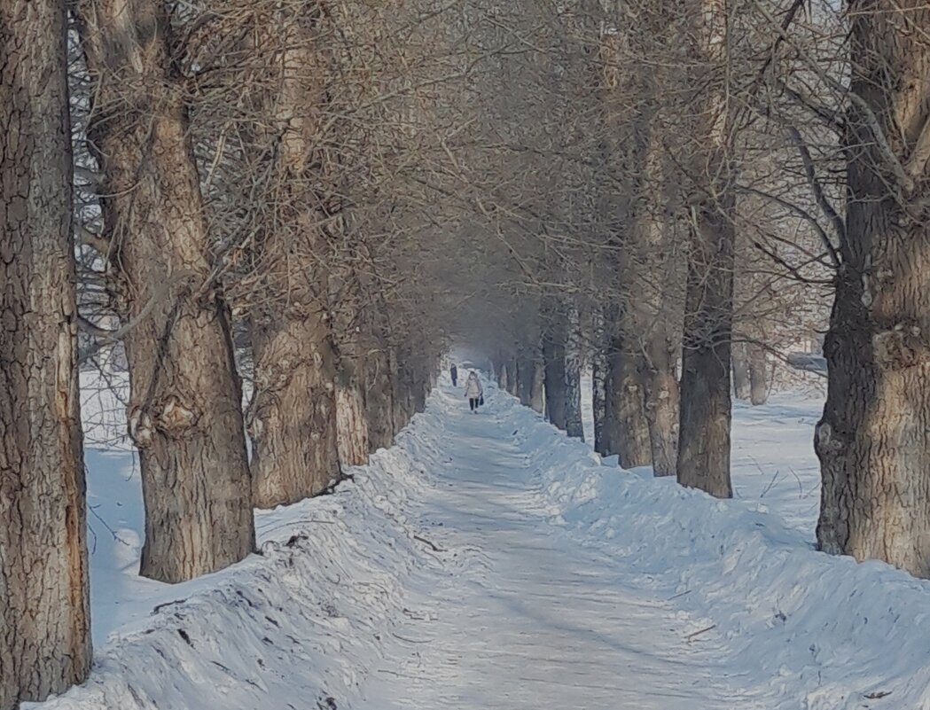 Мой город - Венера Чуйкова Мой город - Венера Чуйкова