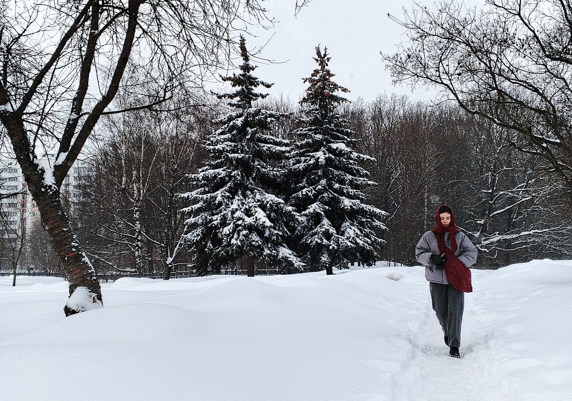 После ночного снегопада. - Василий Палий