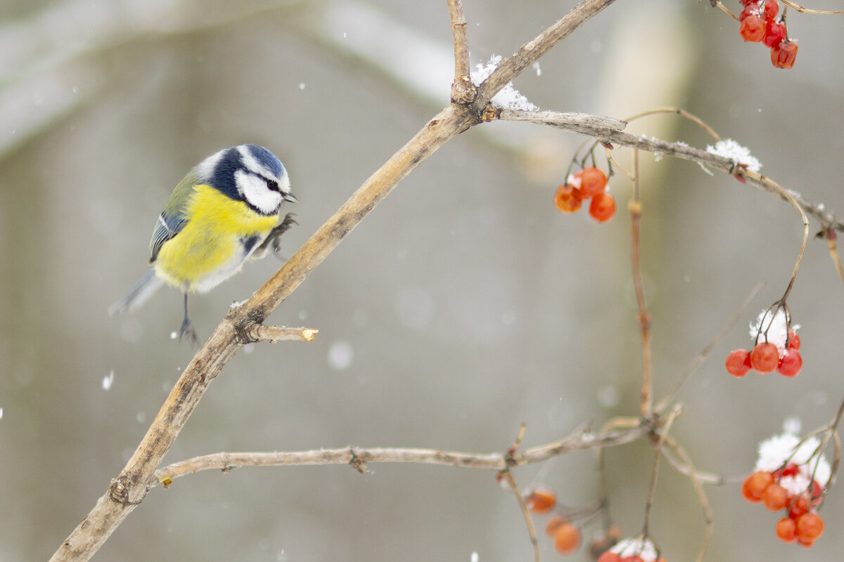 Осилит идущий! - Валерий Черняк