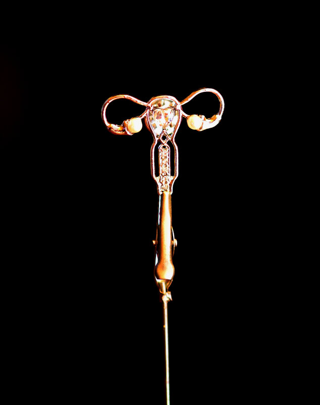 Брошь медицинская - Андрей Л. В. Брошь медицинская - Андрей Л. В.