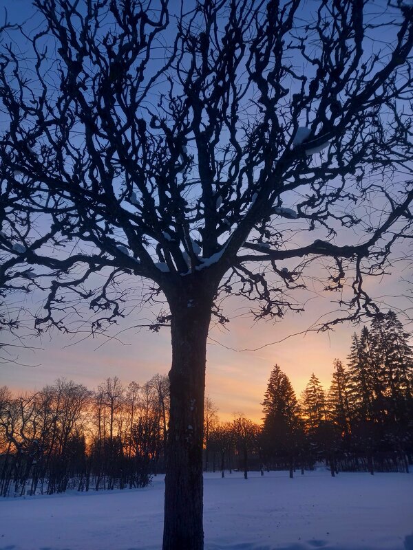 Закат - Сапсан 