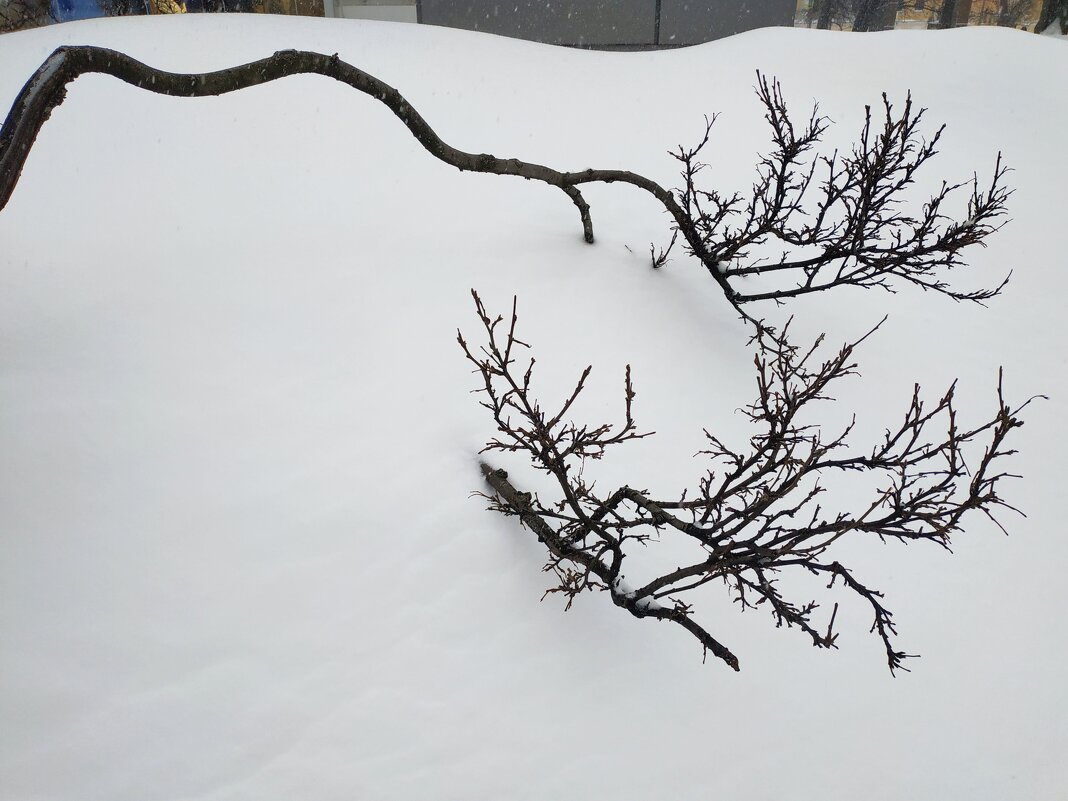 Моя Москва - Андрей Лукьянов