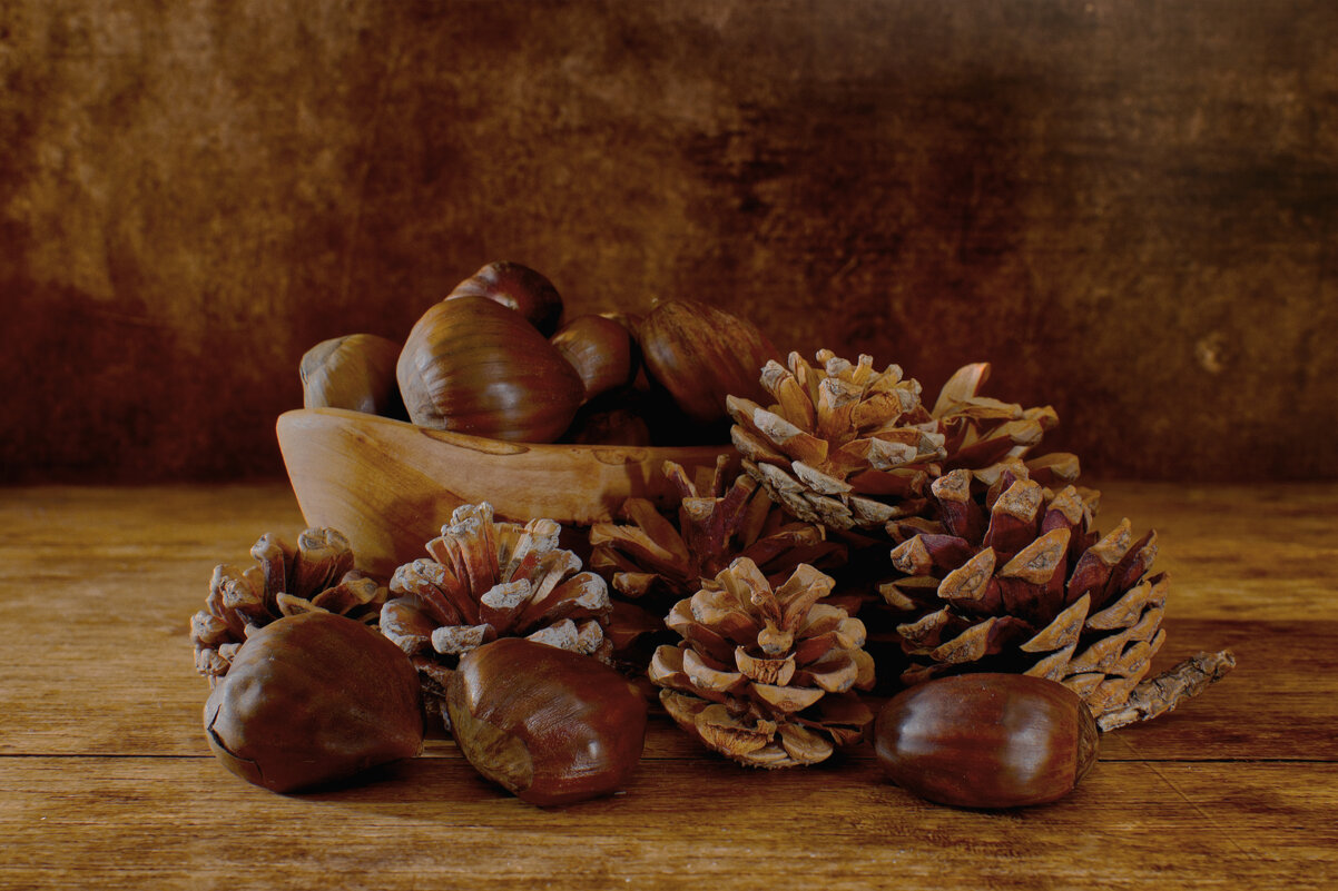 (°-.-°) - Jakob Dick