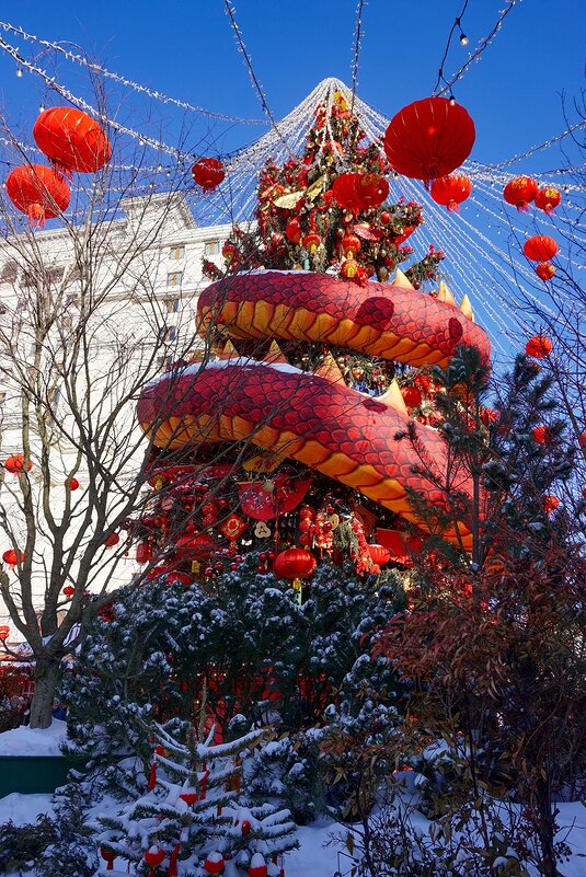 Китайский новый год - Ольга 