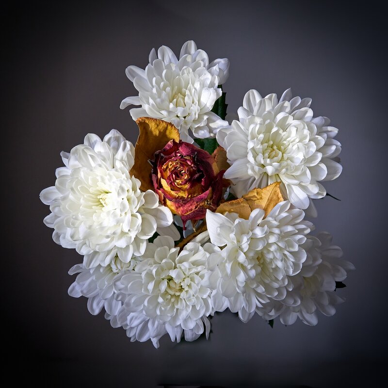 75 - Владимир 