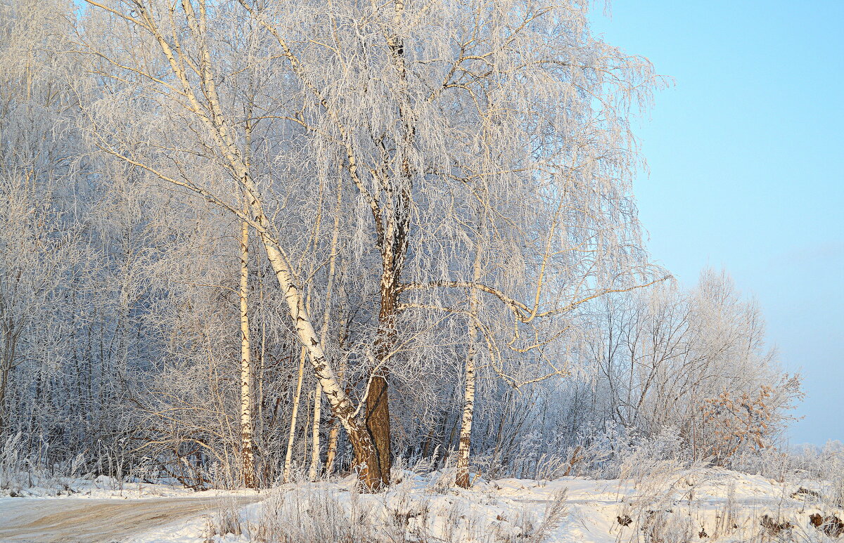 Родной край - Татьяна Лютаева