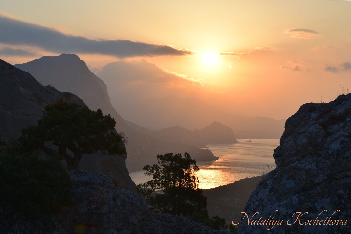 Природа Крыма - Amazing Cosmea