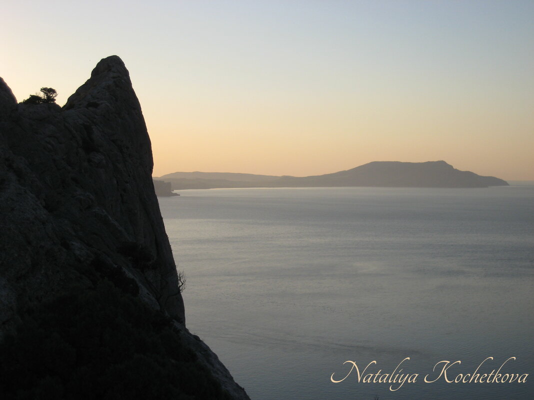 Природа Крыма - Amazing Cosmea