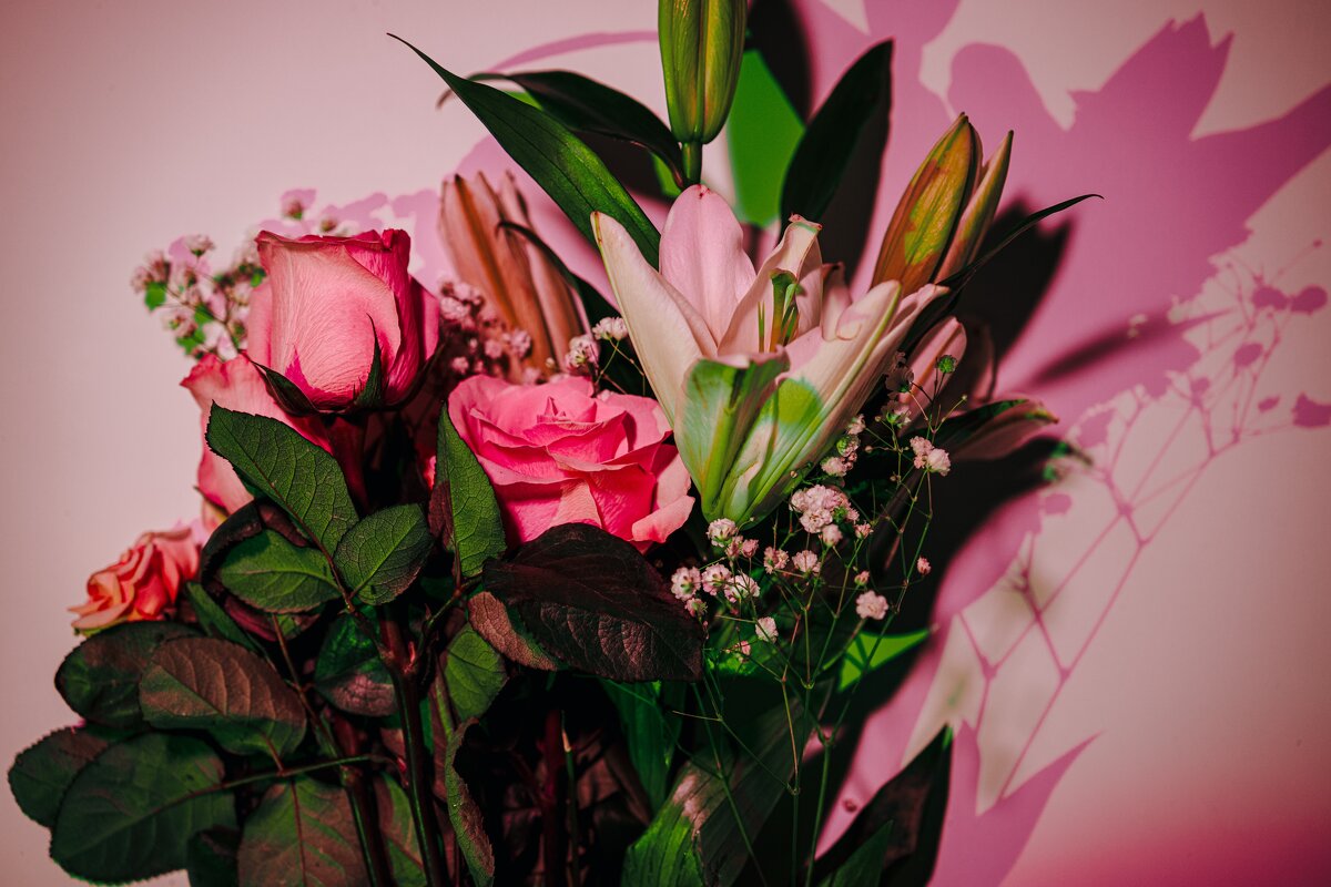 Цветы - Илья Шенгелия