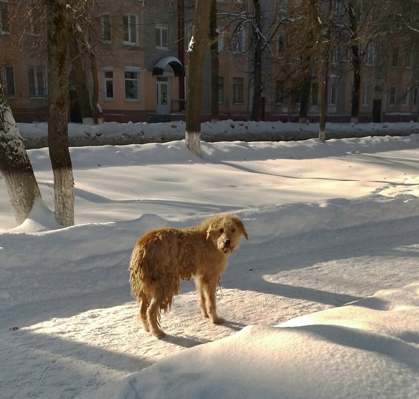 *** - Валентина Береснева
