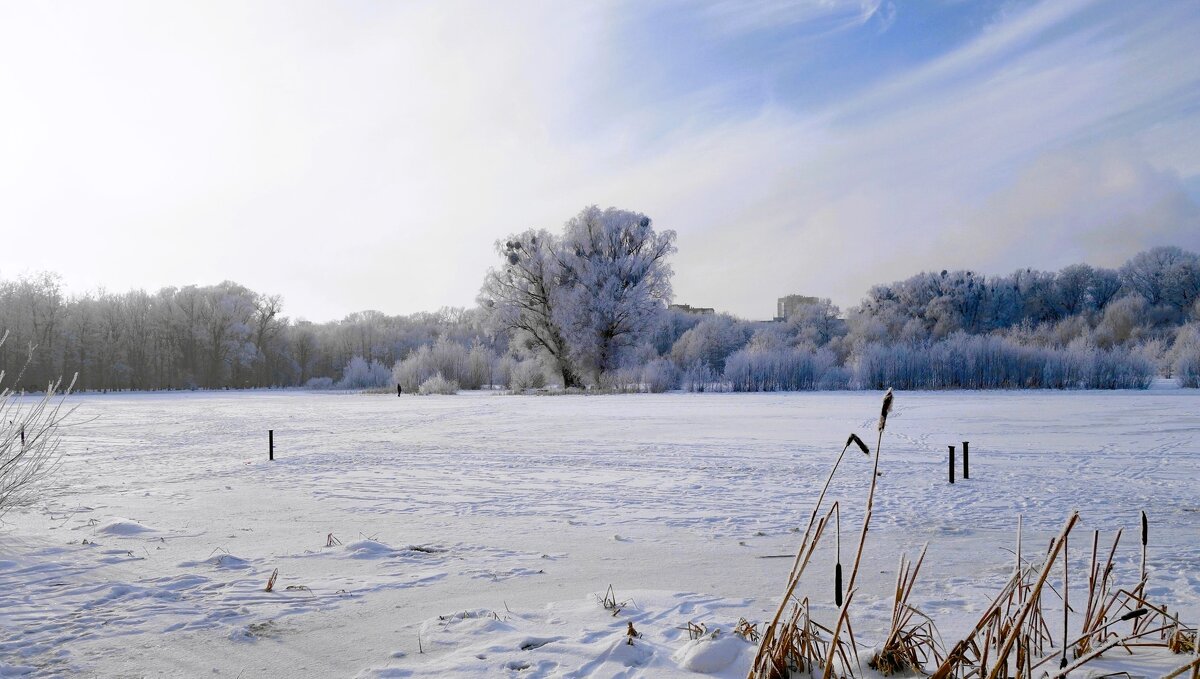 Озеро Лесное, Калининград - Рита Симонова