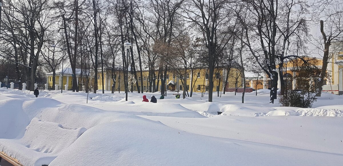 Прогулка в парке после снегопада - Galina Solovova