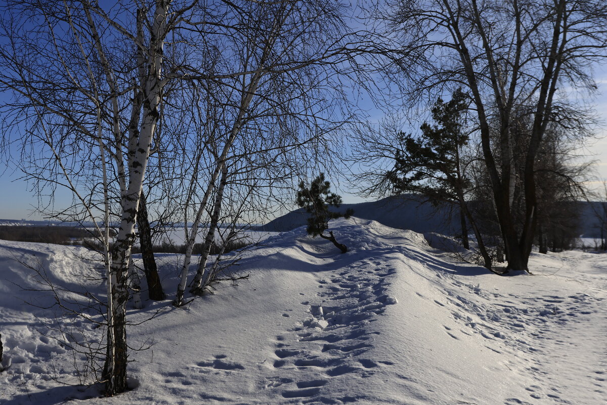... - Валерий 
