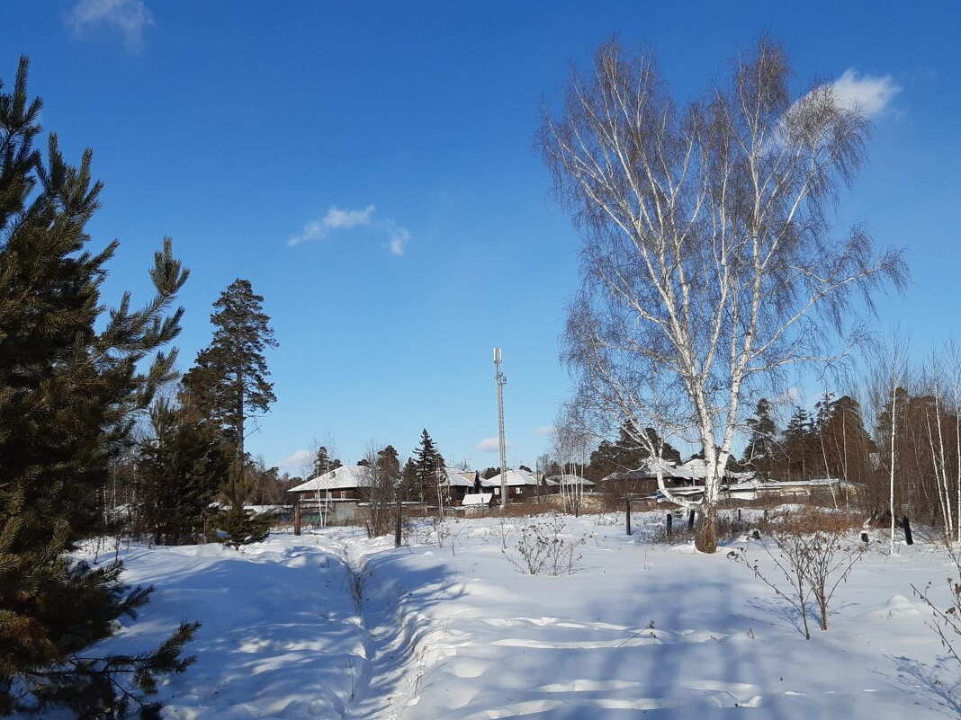 Ясным днём - Галина Минчук