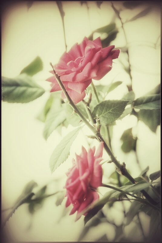 . . . - Руслан . . . - Руслан