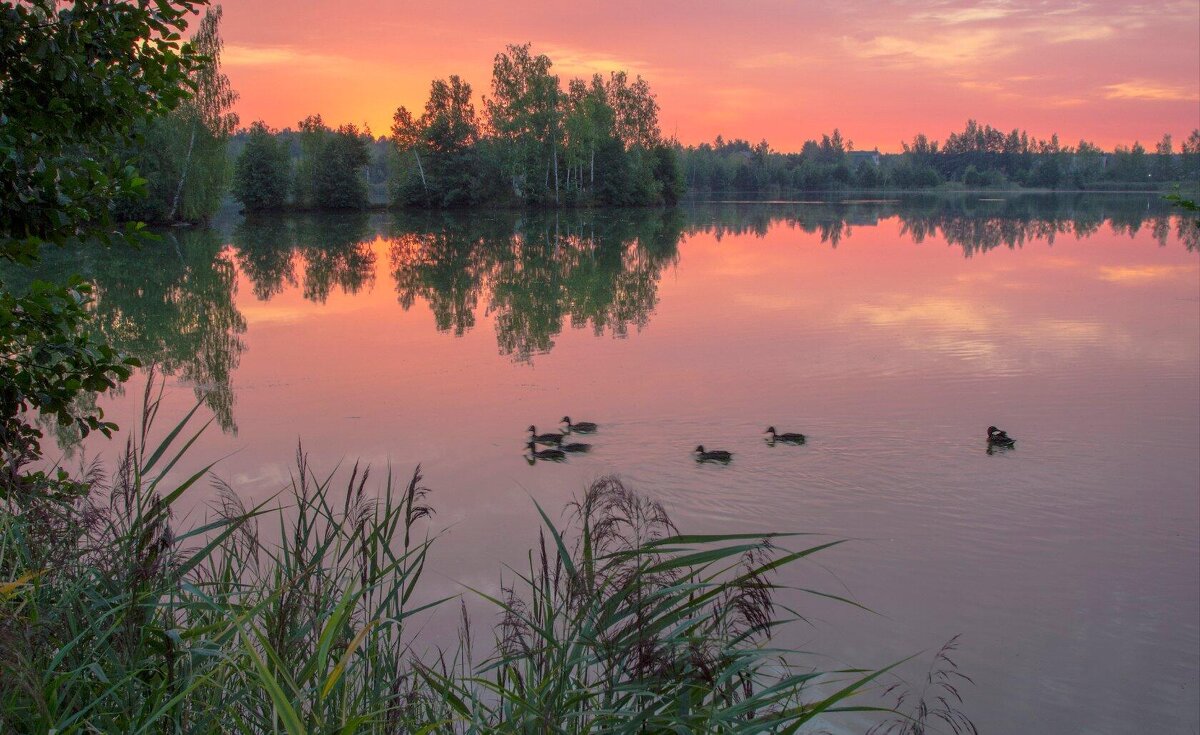 Рассвет над озером - Дмитрий Балашов