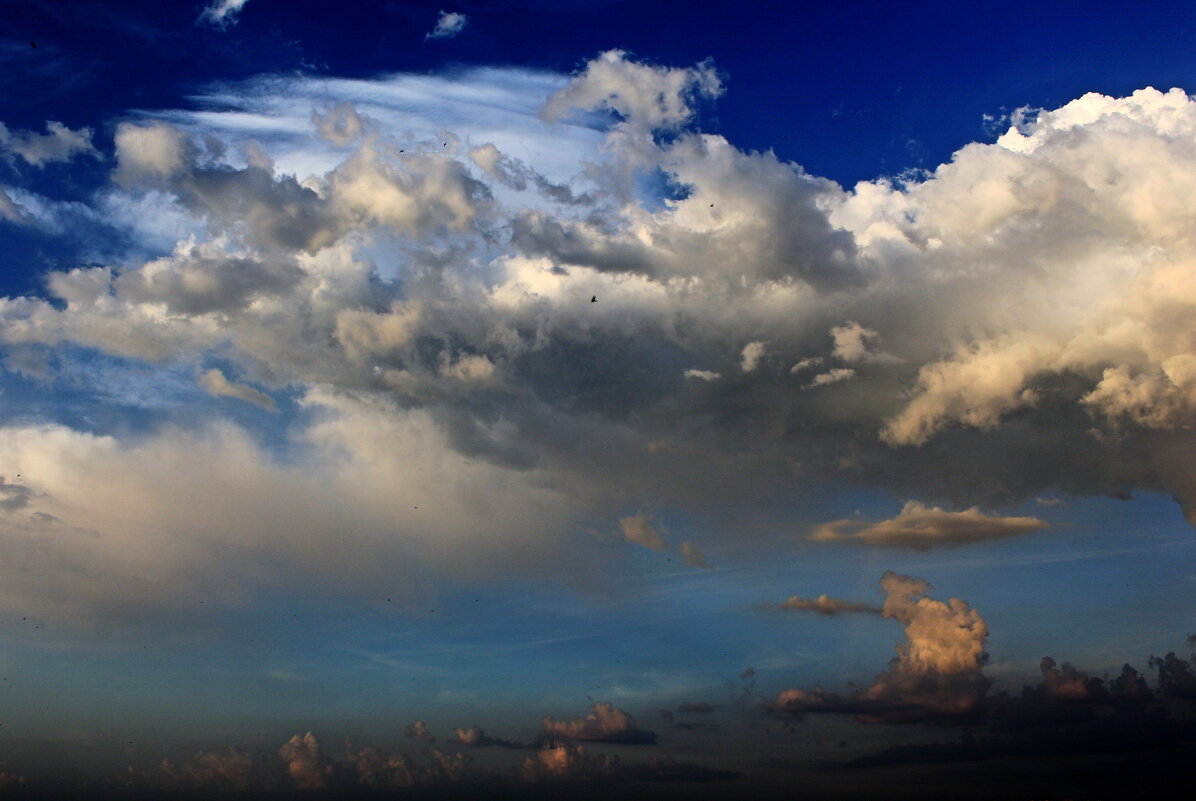 ... - Александр Герасенков