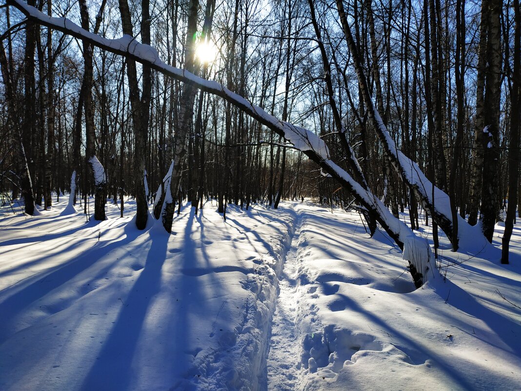 Провожаю зиму. С Масленицей, друзья! - Андрей Лукьянов