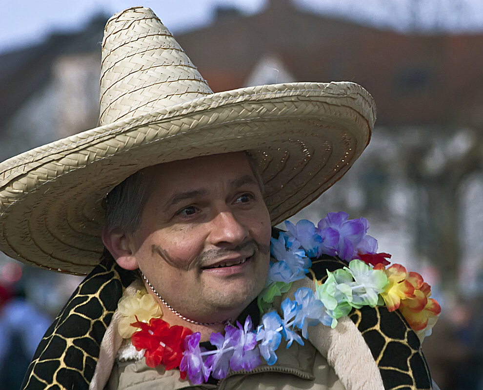 В разгар карнавала - Valziwa 