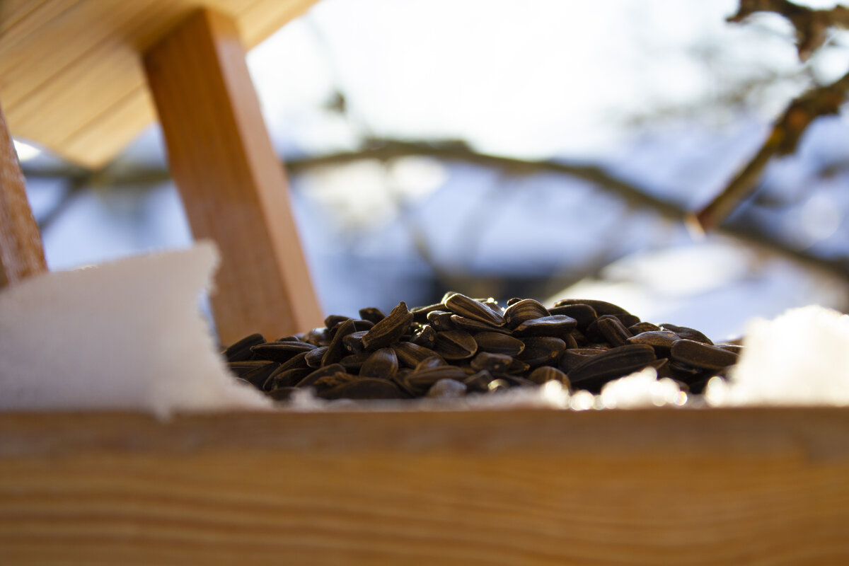 Перевал - Вадим Бакка