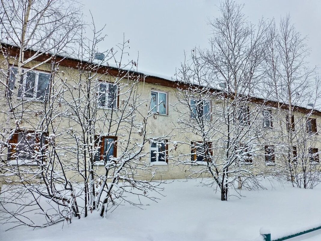 Февраль...Мороз минус 40! - Владимир 