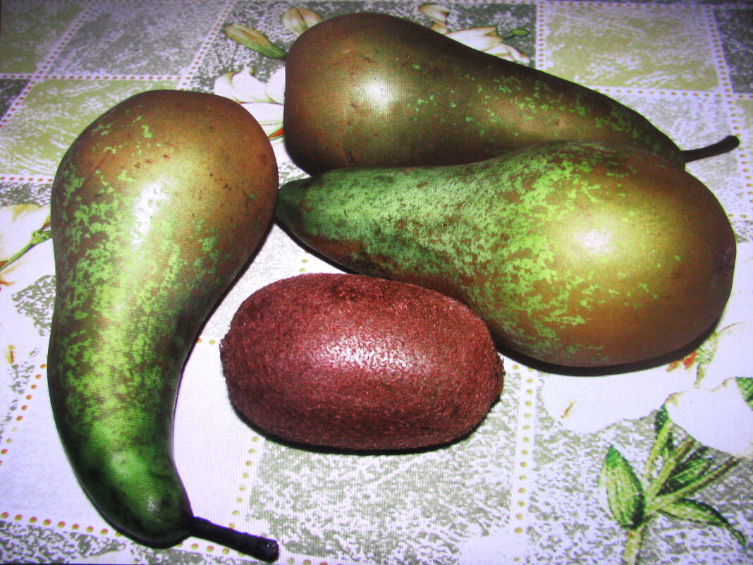 Витамины - Людмила Смородинская Витамины - Людмила Смородинская