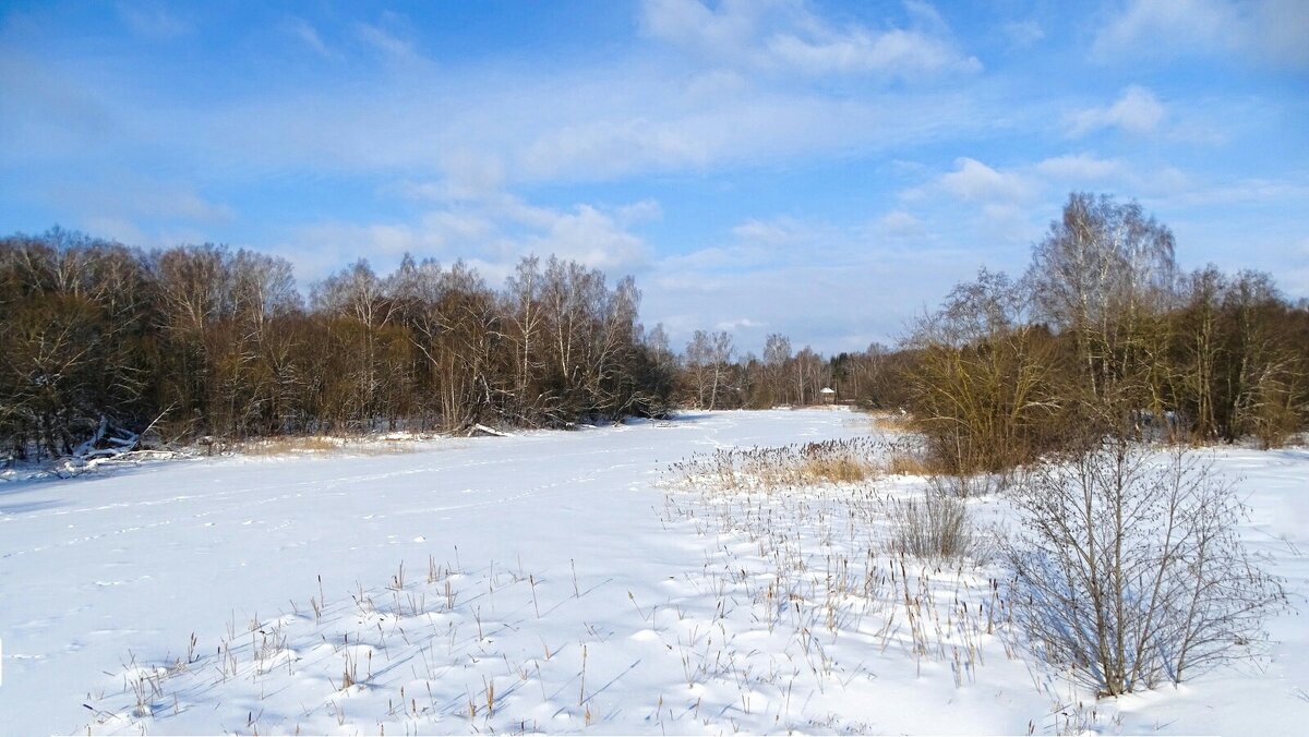 Февраль - Милешкин Владимир Алексеевич 
