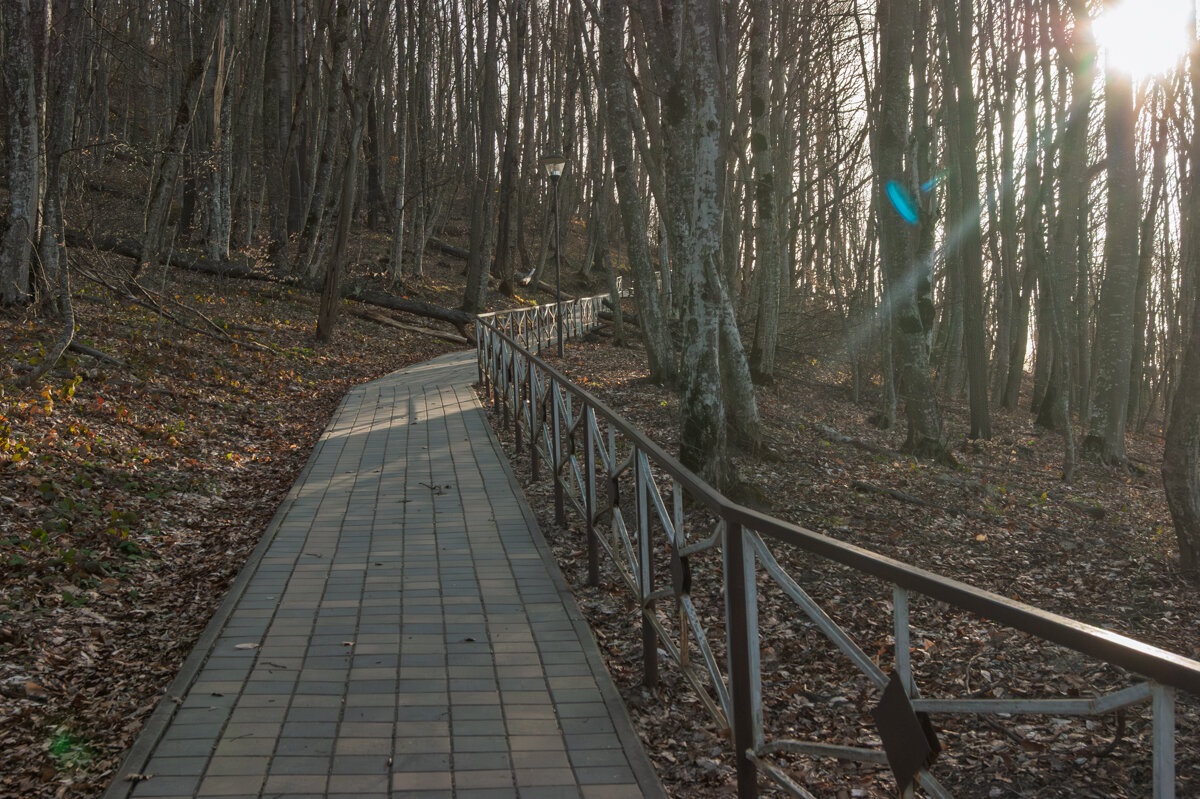 Тропа к Святому источнику - Игорь Сикорский