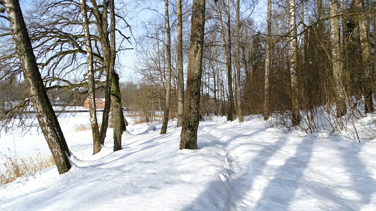 Зима в феврале - Милешкин Владимир Алексеевич 