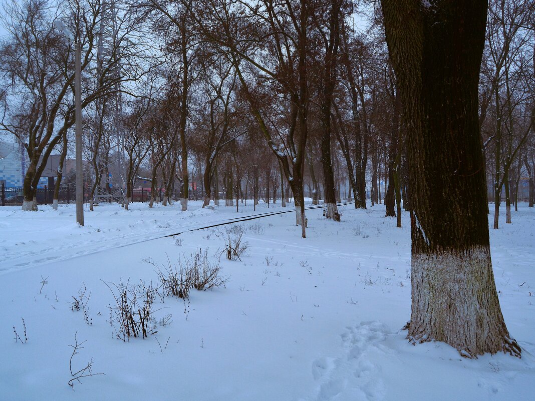 Ростов-на-Дону. Детская железная дорога в зимнем парке им. Н. Островского. - Пётр Чернега
