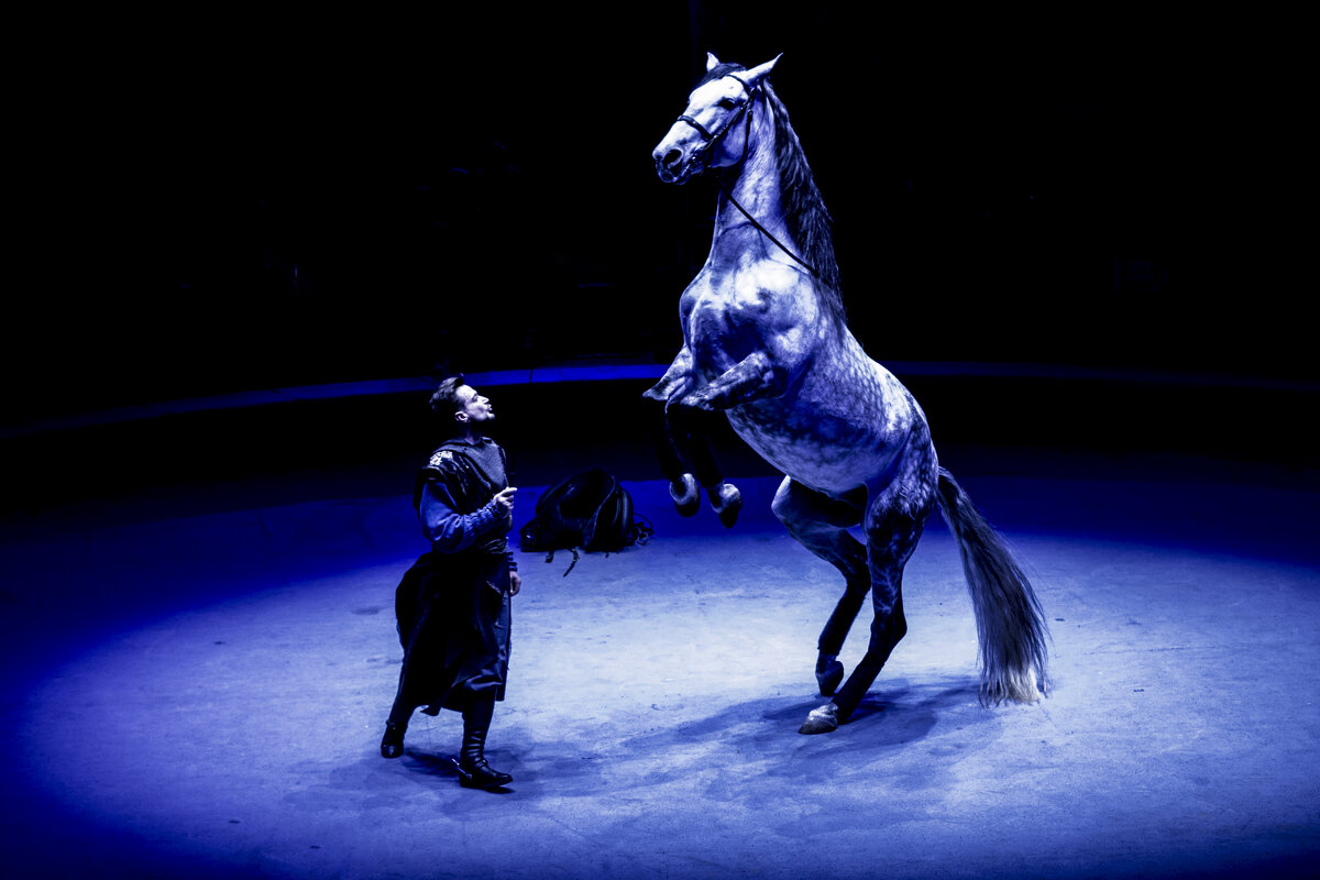 Мой ЦИРК - Владимир Максимов