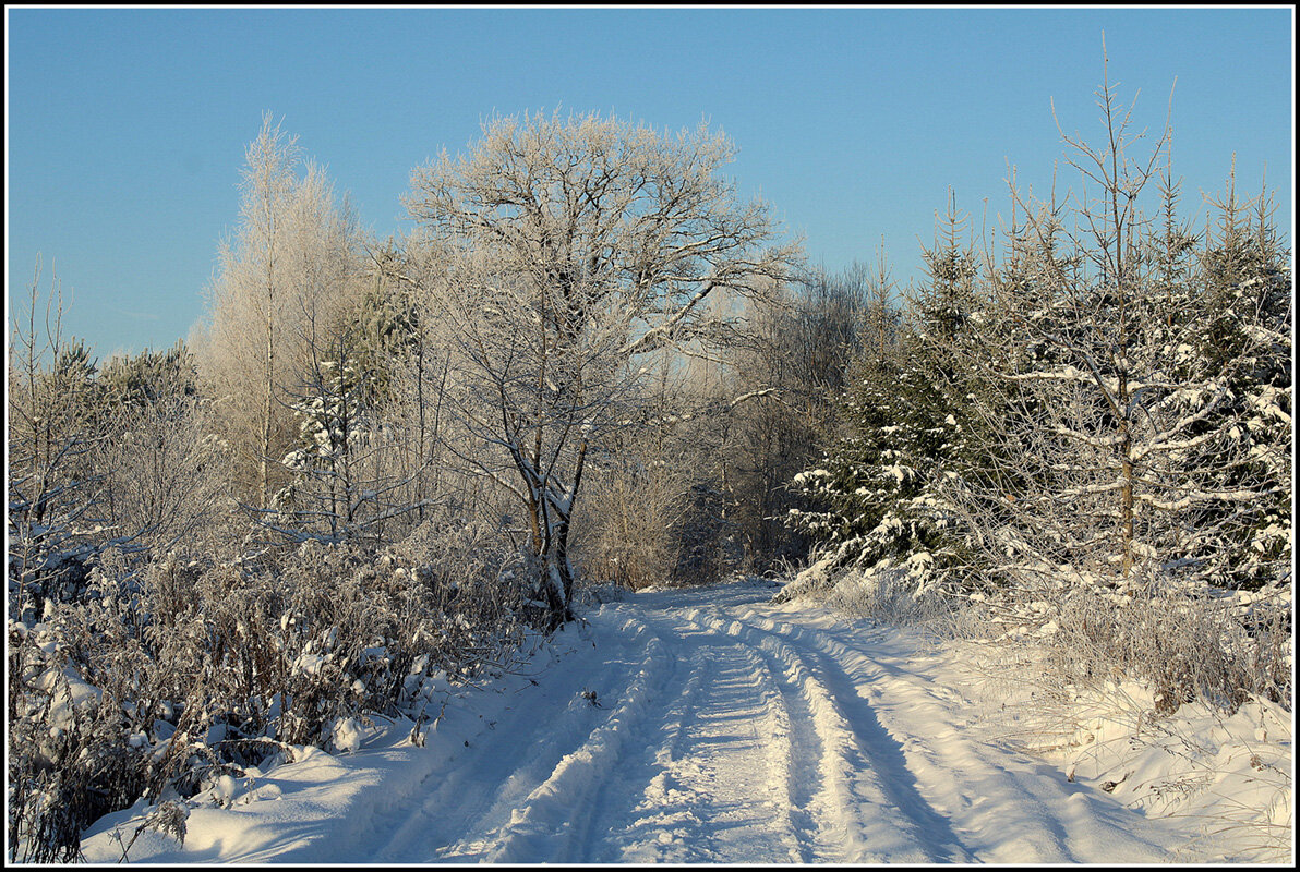 Дорога зимняя - Aleksandr Gal